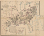 Map Showing the Distribution of Slaves in the Southern States by Adolph von Steinwehr
