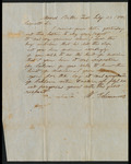 Letter from W. J. Simmons to Collin McKinney stating the medication used to treat an ailment