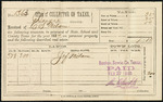 State and county tax receipts for Elisa Milam