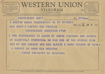 Telegram from Senator Estes Kefauver to Minnie Meacham Carter by Estes Kefauver 1903-1963