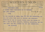 Telegram from Sam Rayburn to Minnie Meacham Carter by Sam Rayburn