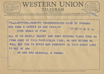 Telegram from Mr. and Mrs. Marshall R. Young to Minnie Meacham Carter and Family by Marshall R. Young and Marshall R. (Mrs.) Young