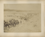 Algerian Desert Caravan