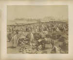Tangier Market