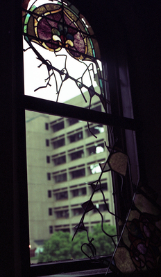 image preview