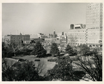 Burk Burnett Plaza by Douglas A. Elliot