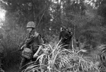 U.S. soldiers in the Vietnam War