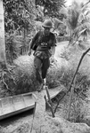 Bob Schieffer reporting on the Vietnam War