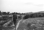 U.S. Marine Corps soldier in the Vietnam War