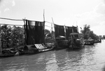 River boats by Bob Schieffer