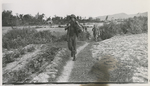 Photo of soldiers walking