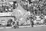 Saddle & Spurs at UTA football game