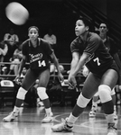 UTA Volleyball, Valeria Whitfield and Fannie Burton by Mary Lee