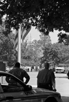 Muslim students pray on the UTA Library Mall following September 11 attacks by Christina Torres