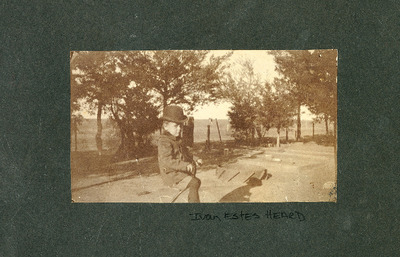 image preview