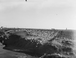 Sheep feedlot by Squire Haskins Photography Inc.