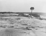 Sand and ocean by Squire Haskins Photography Inc.