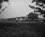 Several men, some of them wearing leis, are playing croquet outside on a lawn. by Squire Haskins Photography Inc.