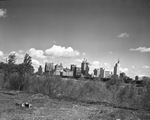 Trinity River bottoms with downtown Dallas by Squire Haskins Photography Inc.