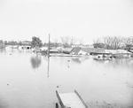 Trinity River flood, Dallas, Texas likely 1941 by Squire Haskins Photography Inc.