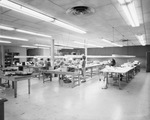 Women sewing at a clothing factory by Squire Haskins Photography Inc.