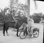 Vacation photographs, family unknown by Squire Haskins Photography Inc.