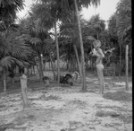 Vacation photographs, family unknown by Squire Haskins Photography Inc.