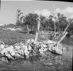 Vacation photographs, family unknown by Squire Haskins Photography Inc.