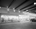 M.E. Moses Company store located in the WestCliff Mall by Squire Haskins Photography Inc.