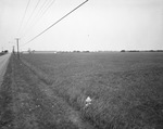 Field by Squire Haskins Photography Inc.