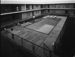 Apartment building, interior courtyard and pool by Squire Haskins Photography Inc.