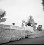 Cotton Bowl parade, downtown Dallas by Squire Haskins Photography Inc.