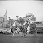 Cotton Bowl parade, downtown Dallas by Squire Haskins Photography Inc.