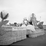 Cotton Bowl parade, downtown Dallas by Squire Haskins Photography Inc.