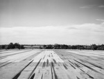 Dallas Love Field by Squire Haskins Photography Inc.