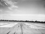 Dallas Love Field by Squire Haskins Photography Inc.