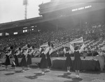 Football game, Cotton Bowl, Fair Park, Dallas, Texas by Squire Haskins Photography Inc.