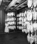 Neuhoff Brothers Packers, worker with rows of hanging hams by Squire Haskins Photography Inc.