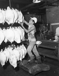 Neuhoff Brothers Packers, worker with rows of hanging hams by Squire Haskins Photography Inc.