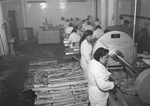 Neuhoff Brothers Packers workers processing meat by Squire Haskins Photography Inc.