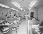 Office workers seated and standing by Squire Haskins Photography Inc.