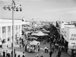 Midway, Texas State Fair, Fair Park, Dallas, Texas by Squire Haskins Photography Inc.