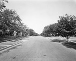 Colorado Boulevard, Oak Cliff area, Dallas, Texas by Squire Haskins Photography Inc.