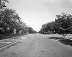 Colorado Boulevard, Oak Cliff area, Dallas, Texas by Squire Haskins Photography Inc.