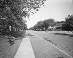 Colorado Boulevard, Oak Cliff area, Dallas, Texas by Squire Haskins Photography Inc.