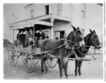 U.S. Mail mule-drawn stage coach with passengers