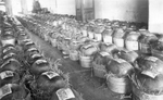 Watermelons in tubs, grown in Weatherford, Texas