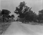 A car passing wagon drawn by horses or mules on country lane