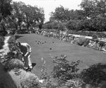 Douglas Chandor at Chandor Gardens