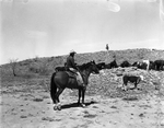 Tom L. Burnett Triangle Ranch